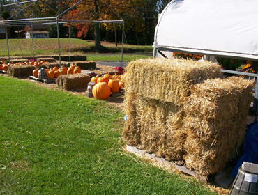 haybales